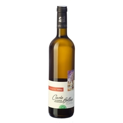 Víno bílé Cuvée Bellus PREMIUM RESERVE ročník 2016 - výběr z hroznů (polosuché) VINAŘSTVÍ 