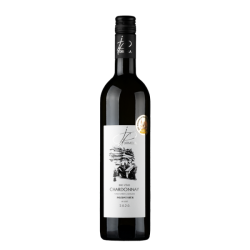 Víno bílé Chardonnay ročník 2020 - pozdní sběr (suché) 750 ml BIO DRMOLA