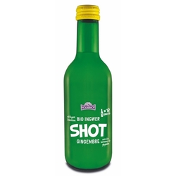Shot zázvorový 250 ml BIO HOLDERHOF 