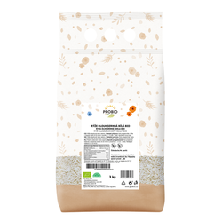 GASTRO - Rýže dlouhozrnná bílá 3 kg BIO PROBIO